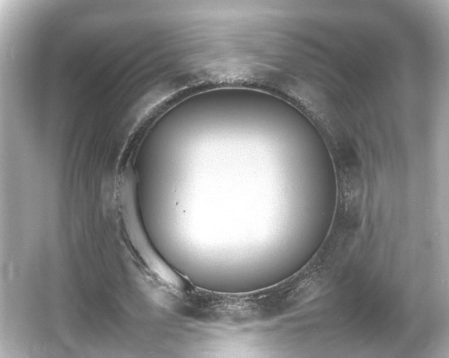 X0000066540583200603201428