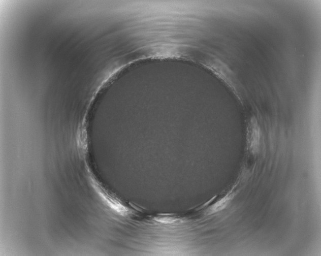 X0000066540584200603201428