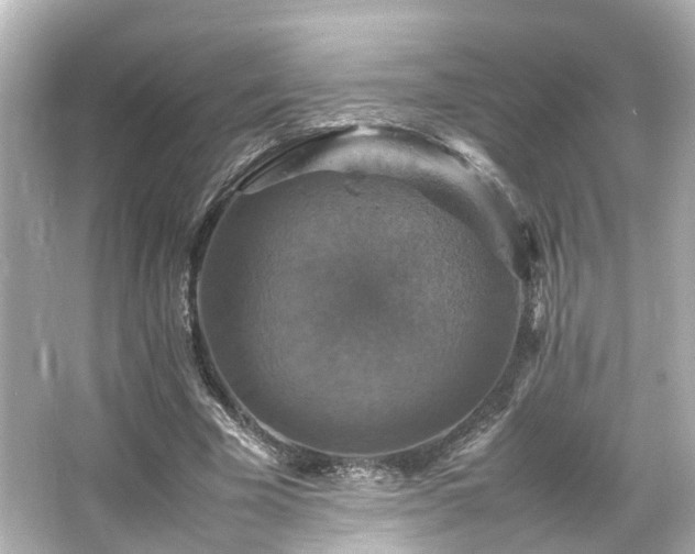 X0000066540585200603201428