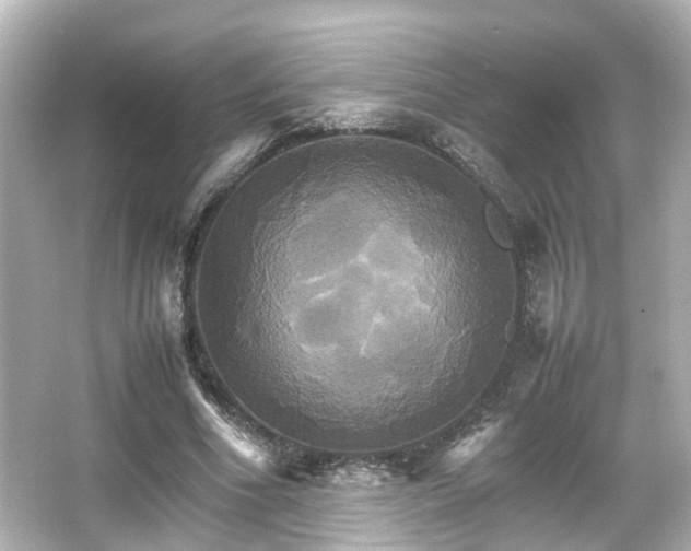 X0000066540586200603201428