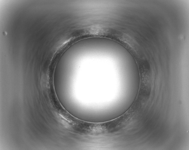 X0000066540587200603201428