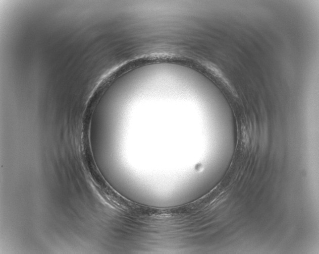 X0000066540588200603201428