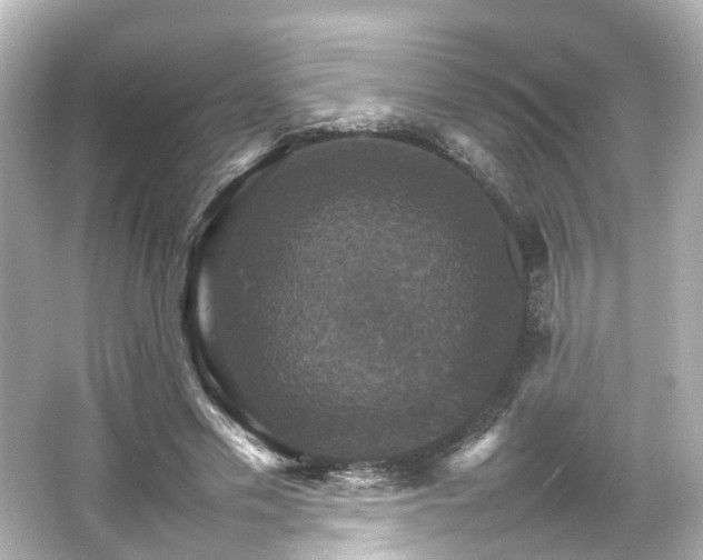 X0000066540589200603201428