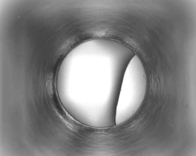 X0000066540590200603201428