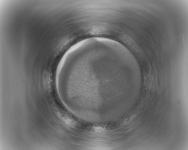 X0000066540592200603201428