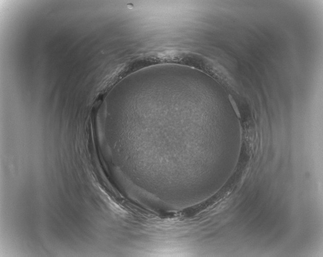 X0000066540593200603201428