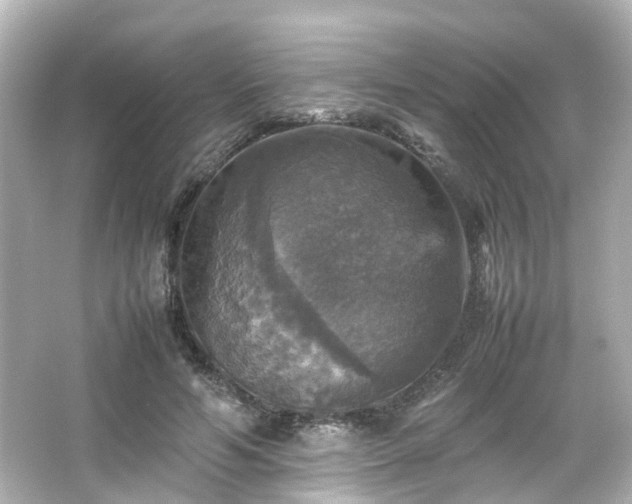 X0000066540594200603201428