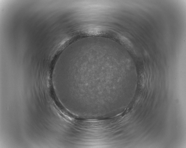 X0000066540596200603201428