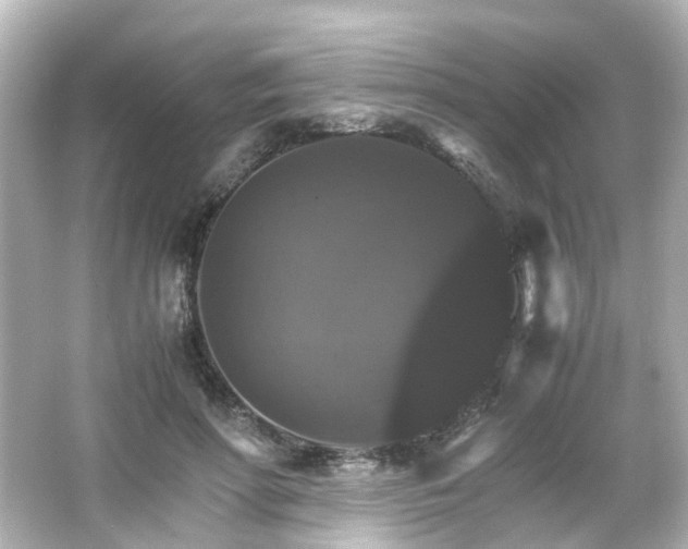 X0000066540598200603201428