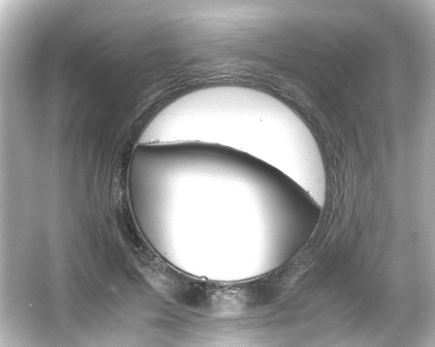 X0000066540599200603201428