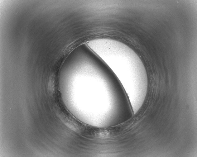 X0000066540600200603201428