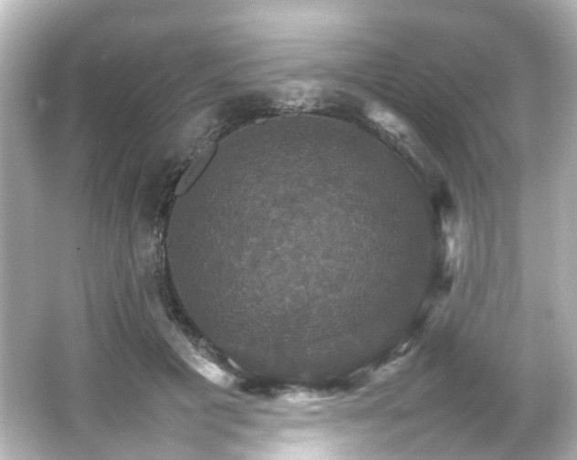 X0000066540601200603201428