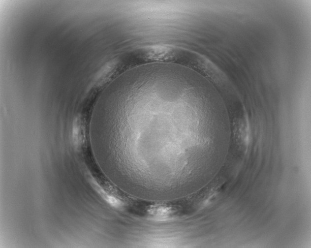 X0000066540602200603201428