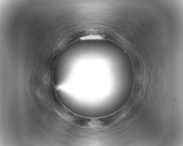 X0000066540603200603201427