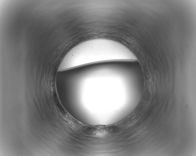 X0000066540604200603201427