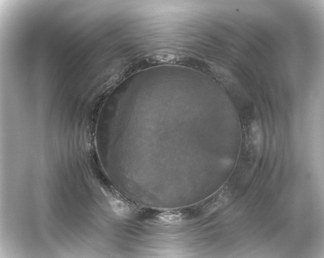 X0000066540606200603201427