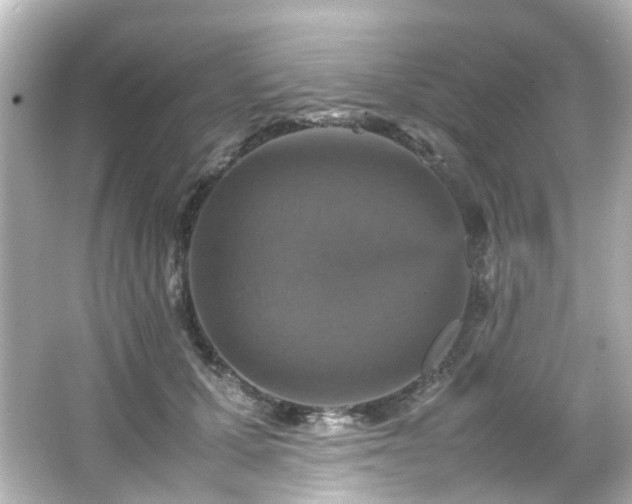 X0000066540607200603201427