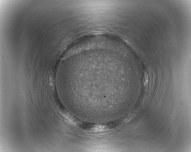 X0000066540609200603201427