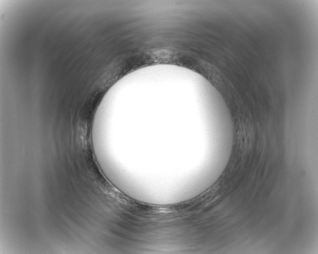 X0000066540610200603201427