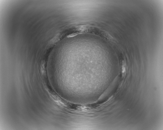 X0000066540611200603201427