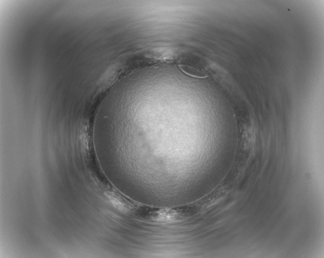 X0000066540612200603201427