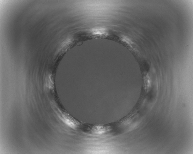 X0000066540613200603201427