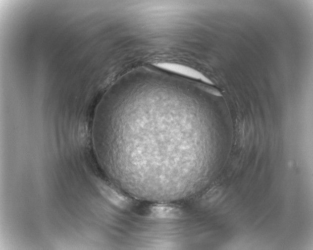 X0000066540614200603201427