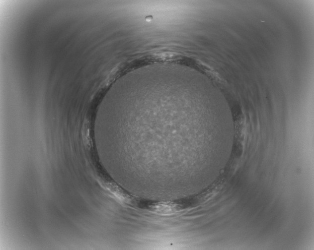 X0000066540615200603201427