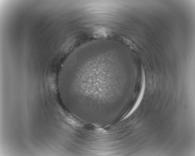 X0000066540616200603201427