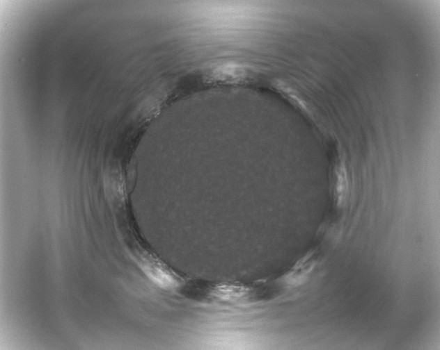 X0000066540617200603201427