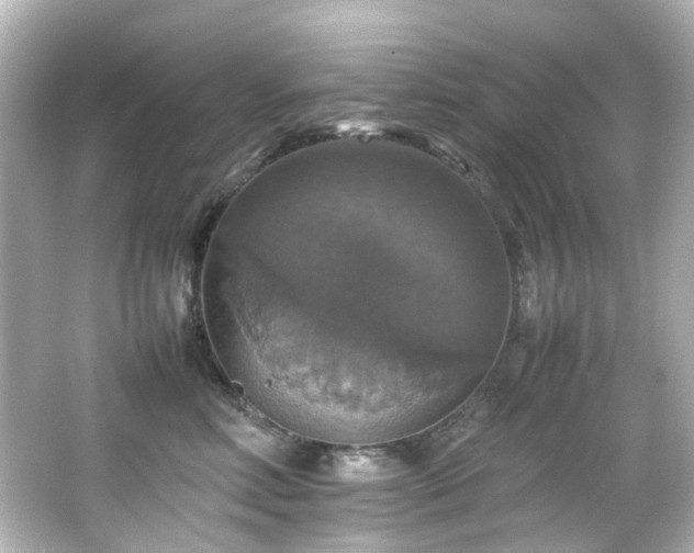 X0000066540618200603201427