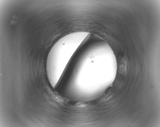 X0000066540620200603201427