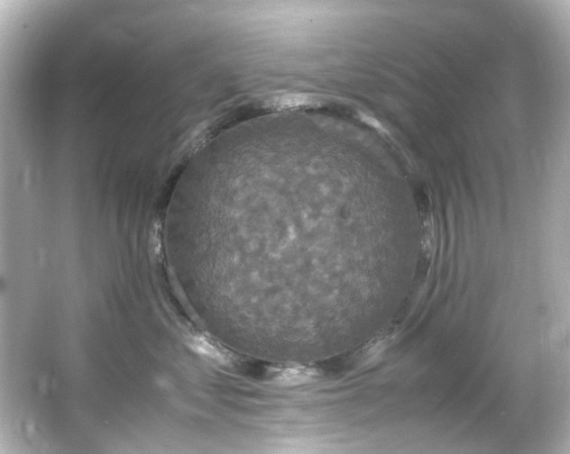 X0000066540621200603201427