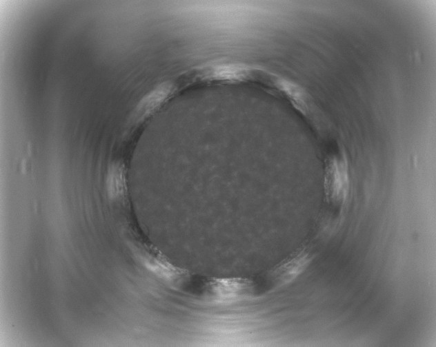 X0000066540623200603201427