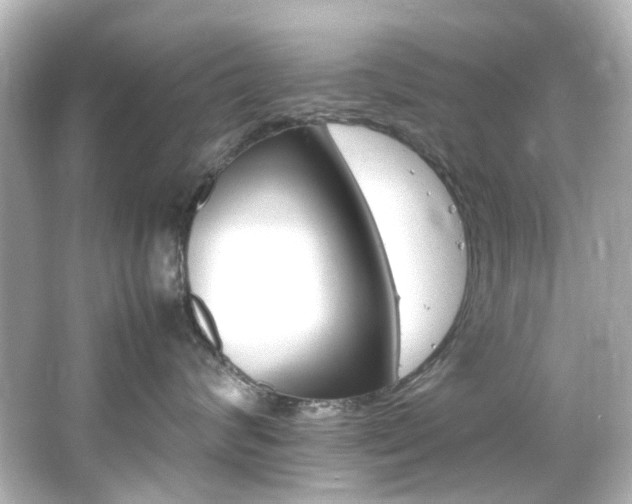 X0000066540624200603201427