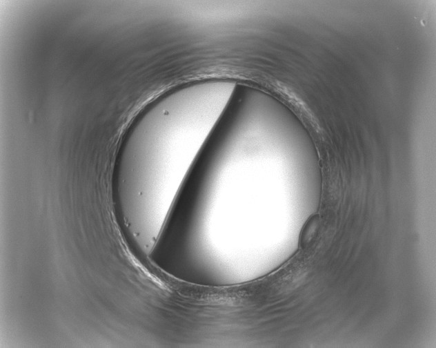 X0000066540625200603201426