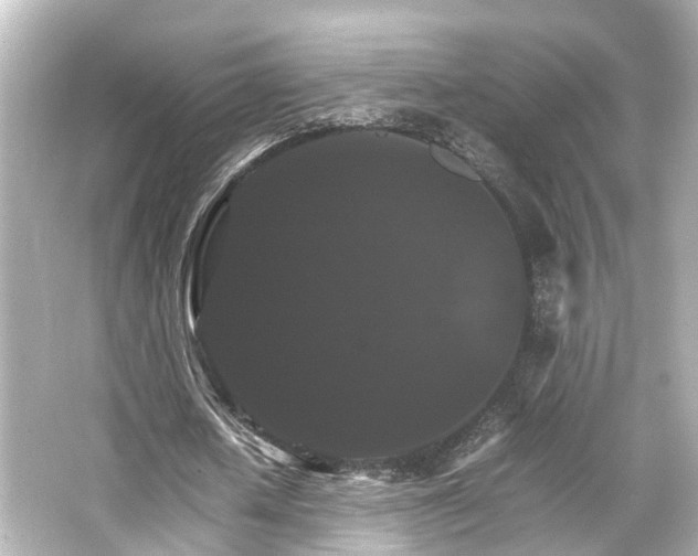 X0000066540626200603201426