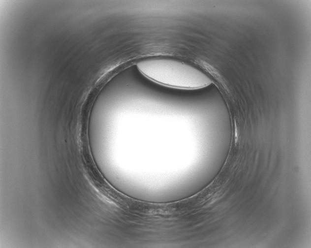 X0000066540627200603201426