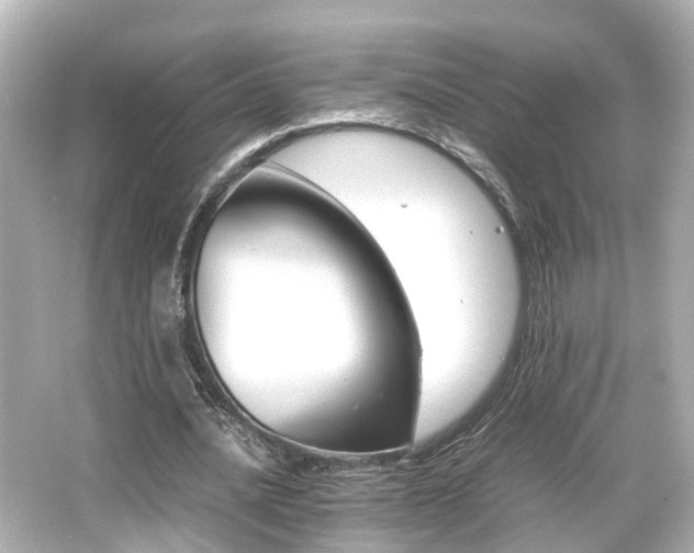 X0000066540628200603201426