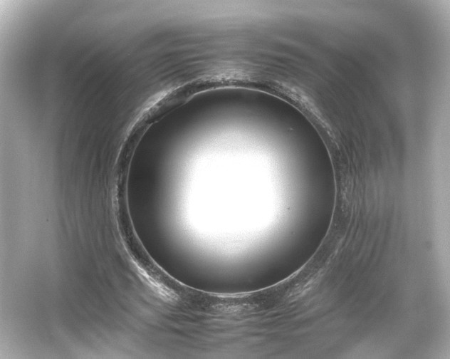 X0000066540629200603201426