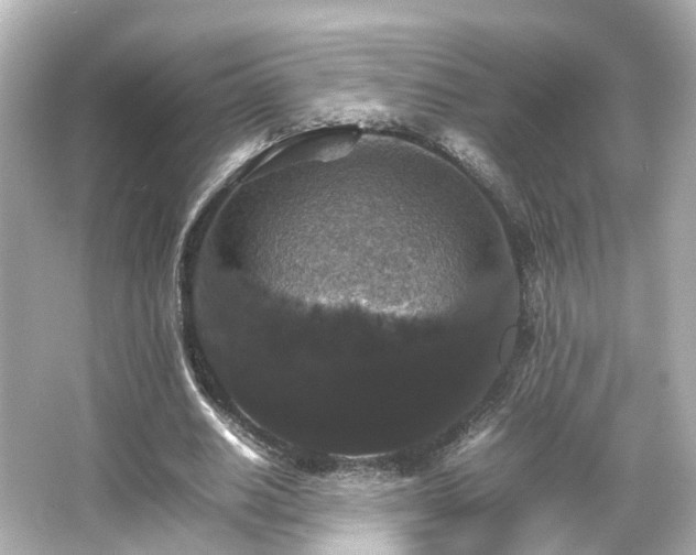 X0000066540630200603201426