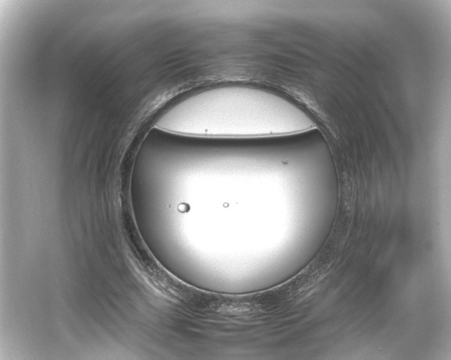 X0000066540631200603201426