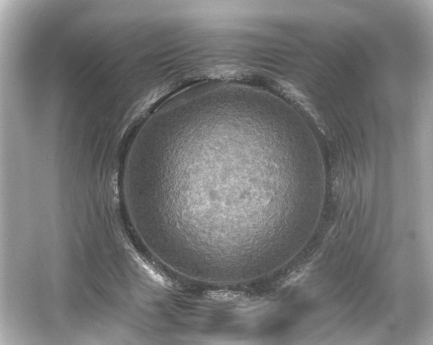 X0000066540633200603201426