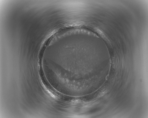 X0000066540634200603201426