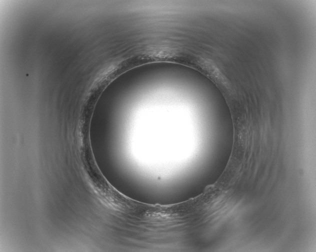 X0000066540635200603201427