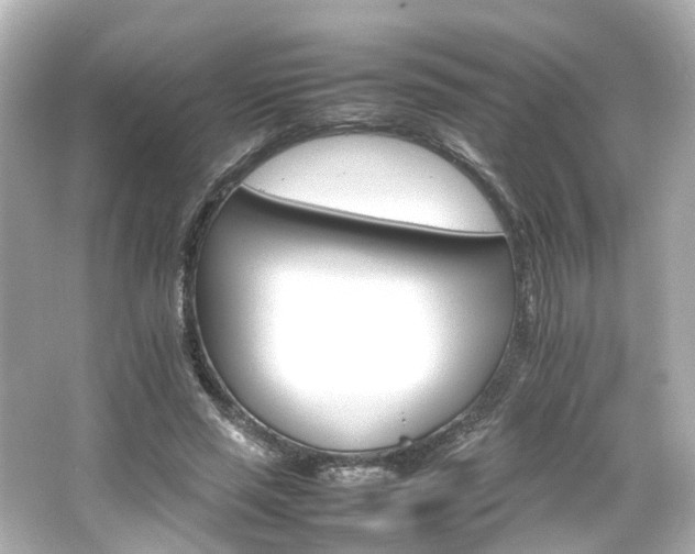 X0000066540637200603201427