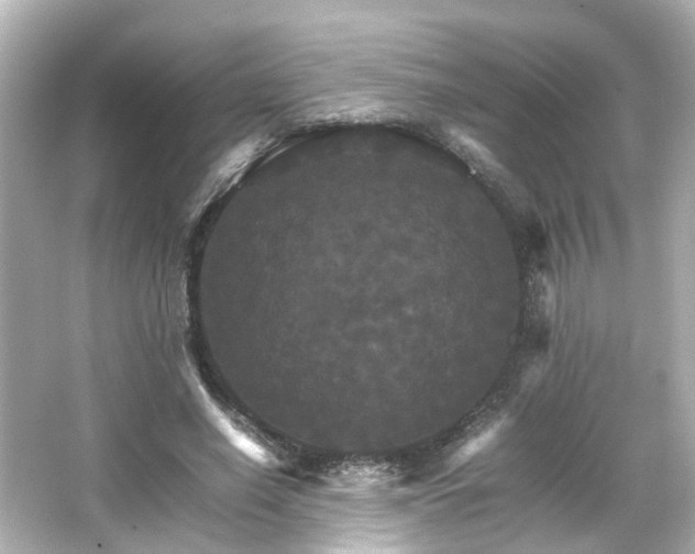 X0000066540638200603201427