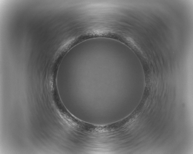 X0000066540640200603201427