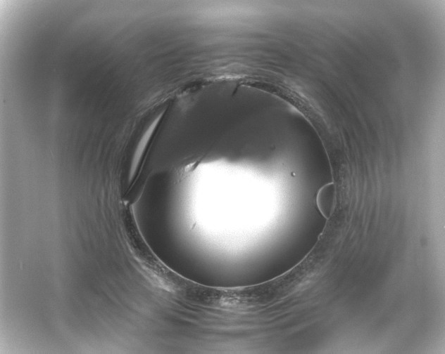 X0000066540641200603201427