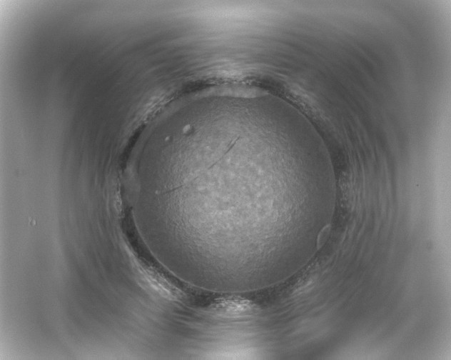 X0000066540642200603201427